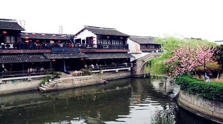 遇见一头鲸读后感100字怎么写？游戏画面